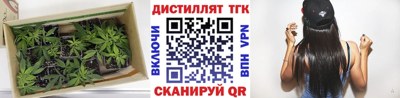omg ССЫЛКА  Глазов  Дистиллят ТГК концентрат  цены наркотик 